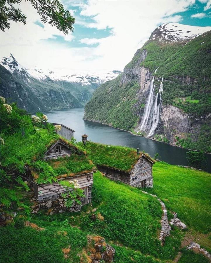 Eco Apartament W Alesund Bagian luar foto